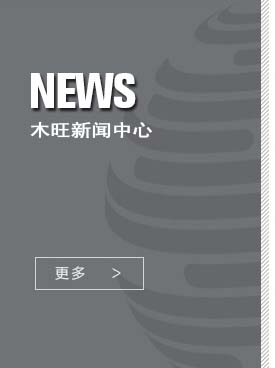 չʾ